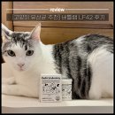 [고양이 유산균 추천] 버틀랩 LF42 직접 급여해본 후기