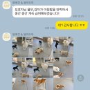 원애견&뭉까두까 이미지