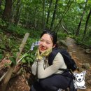 [2023.08 당일치기 인제여행] 천상의화원 곰배령, 점심식당 산골나들이 ; 날씨, 옷차림, 준비물, 후기...