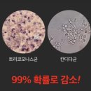 온누리뿌리약국 | 여성질유산균효과 - 질염예방 뿌리는질유산균 편안해질 후기