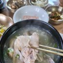 약식동원 다루야 이미지