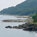 이기대 동생말 이미지