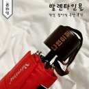 3단우산 우산제작업체 발렌타인몰 각인 접이식우산 솔직 후기