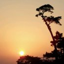 낙산의상대 이미지