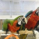 가든조류원 이미지