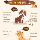 청주온누리동물메디컬센터