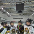 하남아이스하키 · 잠실아이스하키 전문 클럽, 하남 타이거즈 아이스하키 후기