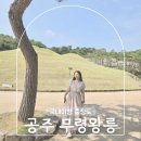 온누리부분정비 | 공주 아이랑 갈만한곳 무령왕릉과 왕릉원
