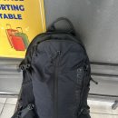 자유수호공원 | [남프랑스자유여행 루트추천, 마르세유 자유여행...cigale 후기 및 마르세유 롱샴공원, 대성당 후기.