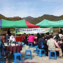 부평청과 - 부평구 경원대로 1432 | 부평청과