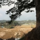 제주 올레길 7-1코스 이미지