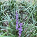 고기극찬 상인월성점 이미지