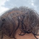 미쁜살롱 이미지