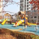 금돼지공인중개사사무소 이미지