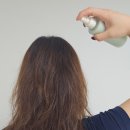 뿌리길 | 뿌리기만 하면 끝! 로그인 포레스트 헤어팩미스트 노워시트리트먼트 사용후기
