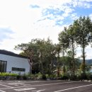 한정식 소나무 앞 이미지