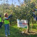 은행농장 이미지