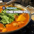 경기도 수원시 권선구 구운중로3번길 5 | 수원 닭도리탕 맛집 대식가 인계동 애견동반 가능한 술집