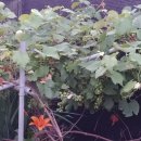 어송농장 이미지