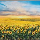 강동우리들요양병원 이미지