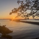 바다야또놀자 | 보령 캠핑장 바다야놀자 캠핑장 명당낚시가능한캠핑장 두가족사이트,개별샤워