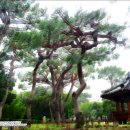 아름드리공원 화장실 이미지