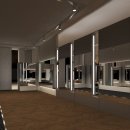 맥스 1호 이미지