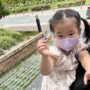 개나리소아청소년과병원 이미지