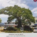 청하면행정복지센터 이미지