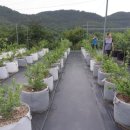 정아농장 이미지