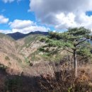 백암축산 이미지