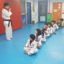 사랑태권도 이미지