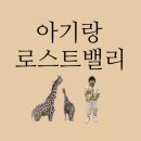 에버랜드 로스트밸리 시간 예약 가격 사파리 큐패스 스페셜 명당