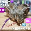 이가유기