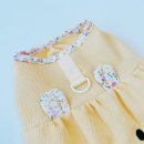 쁘띠몽몽 이미지