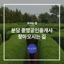 분당중앙공인중개사사무소 이미지