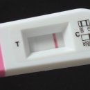 우리가축 인공수정 | [모태안 인공수정 1차 성공 후기] 장원영이 내 팔짱을?🫢임신초기 3~4주차 증상 (ft. 태몽, 임밍아웃)