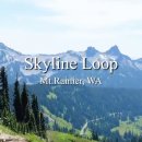 2025.08.09 Mount Rainier - Skyline Loop/ Panorama Point 이미지