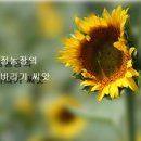 옥정농장 이미지