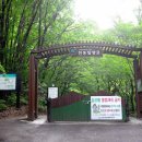 소백산 산행후기 (아내랑 큰사위랑 셋이서)