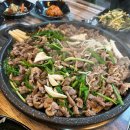 서울-언양-언양01 이미지