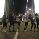 온천천시민공원 동백 이미지