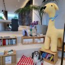 펫 프렌들리 호텔 이미지