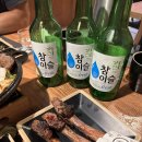 진1926서귀포월드컵점 이미지