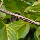 장수군농업기술센터 이미지