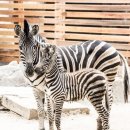 헬스앤라이프 이미지