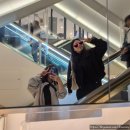 스텔라 호스텔 | 삿포로 쇼핑 루트: 다이마루·스텔라·유니클로 -(3)