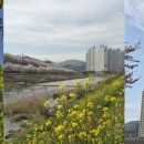 주촌서희스타힐스 이미지