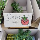 진주팜농약