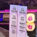 벚꽃살롱